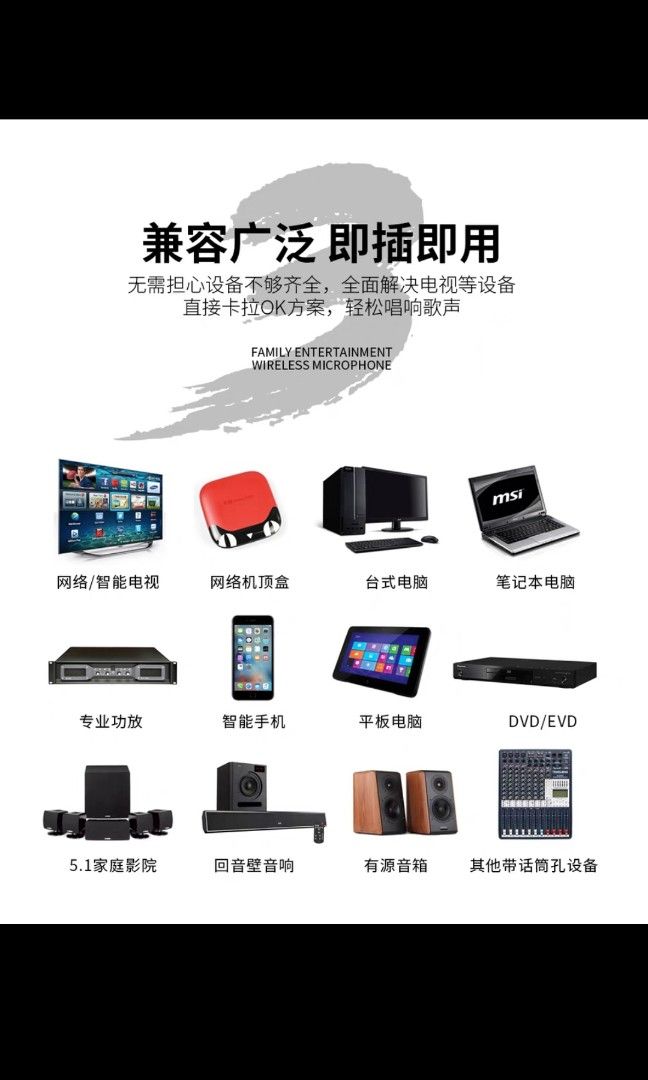 Karaoke mics set, TV & Home Appliances, TV & Entertainment