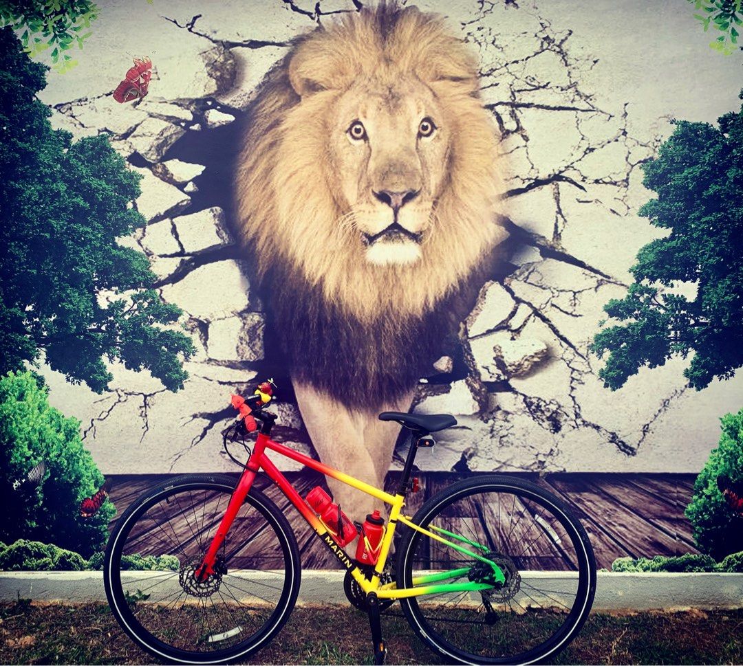 marin muirwoods hybrid bike