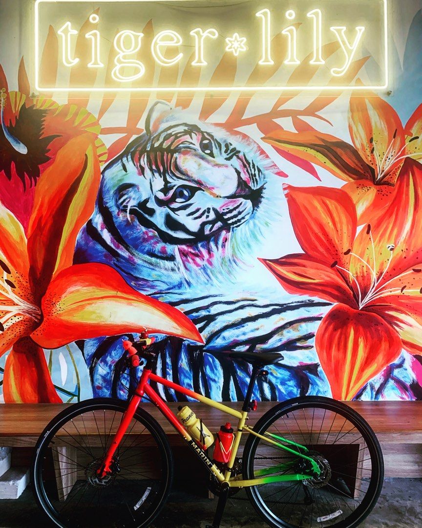 marin muirwoods hybrid bike