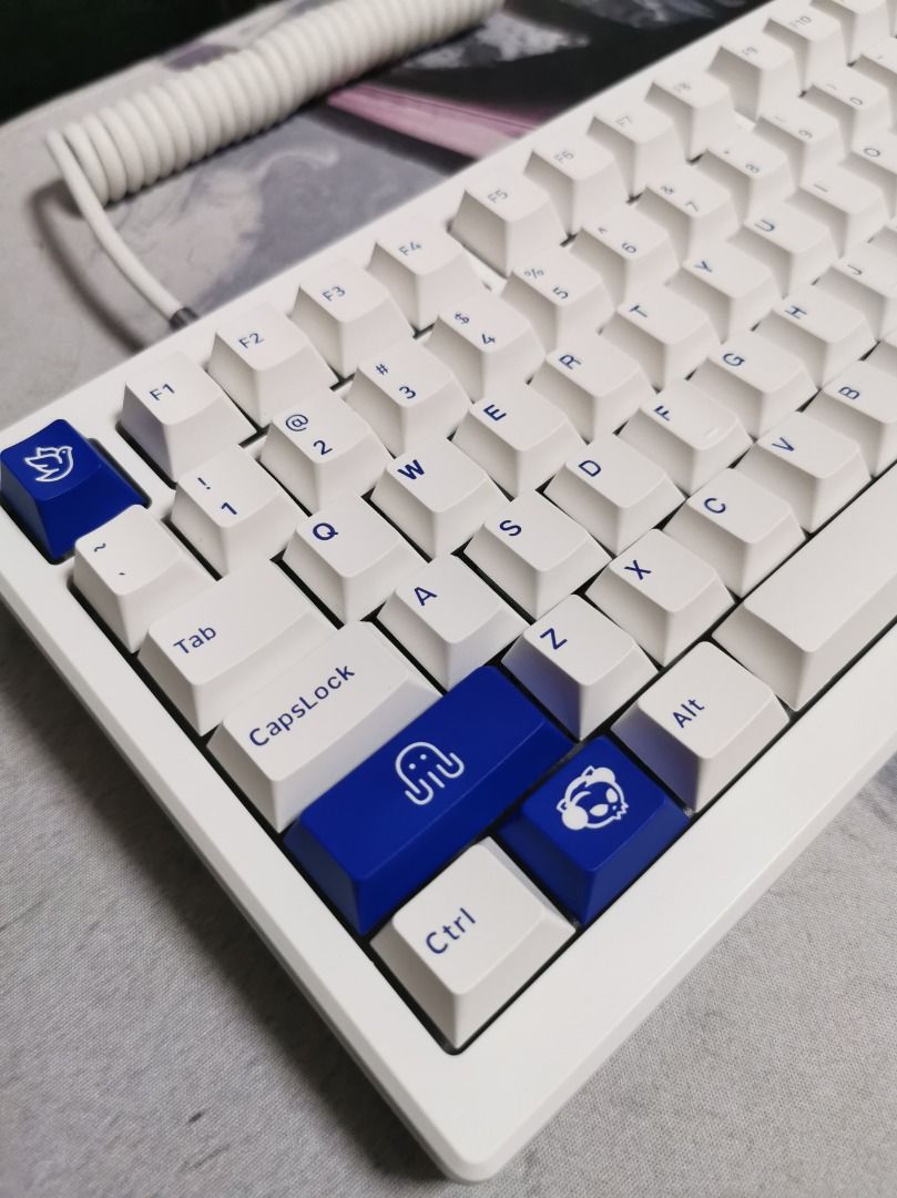 Thocky Custom Fully Modded Mechanical Keyboards (New build/Modding