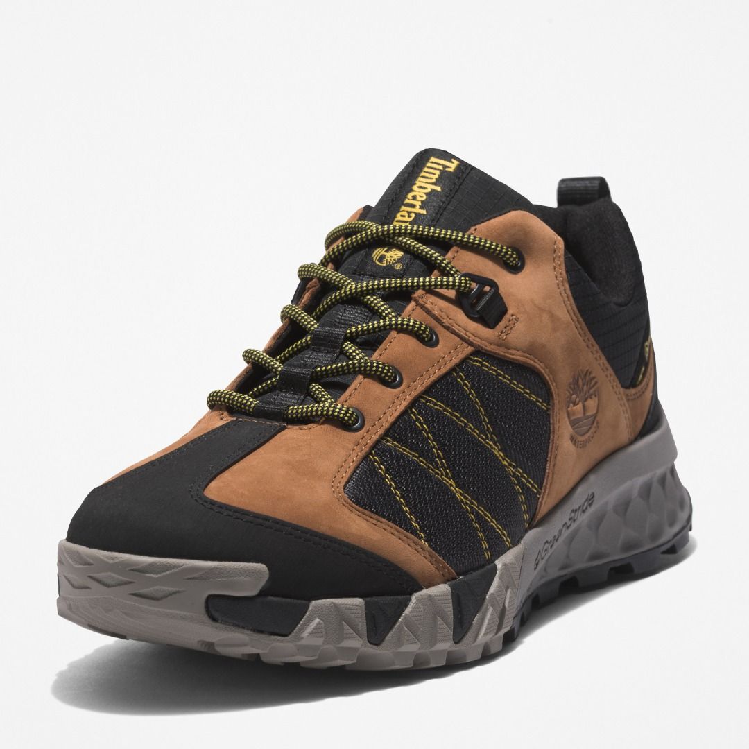 Timberland Trailquest Waterproof Low Hiking Shoes, Men's Fashion
