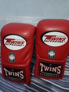 TWINS boxing bag gloves