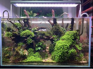 (Category: ) located in . Submitted by happyluck888 (Listing ID 1225416599, Image 1). Description: .