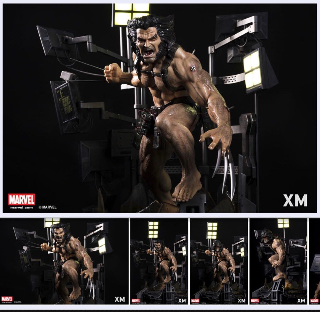 XM studios wolverine X project statue, Hobbies & Toys, Toys & Games on