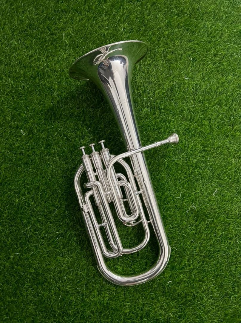 Yamaha YAH203S Standard Eb Alto Horn, Hobbies & Toys, Music & Media