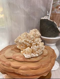 雲朵鎮✨鐘乳石 鐘乳石花 原礦水晶 原石擺件 辦公室小物 拍攝道具 攝影道具 閃閃 礦 礦物 共生礦