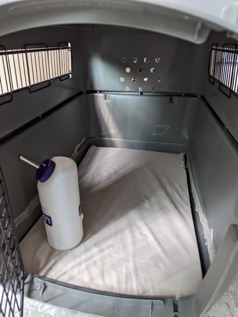 Airline approved sky kennel ultra, Pet Supplies, Homes & Other Pet