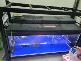 (Category: ) located in . Submitted by mamaumar (Listing ID 1225654514, Image 1). Description: .