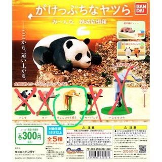 （分類：）位於 。 由 horace2009 提交（商品編號 1225645923，圖片 1）。簡介： 。