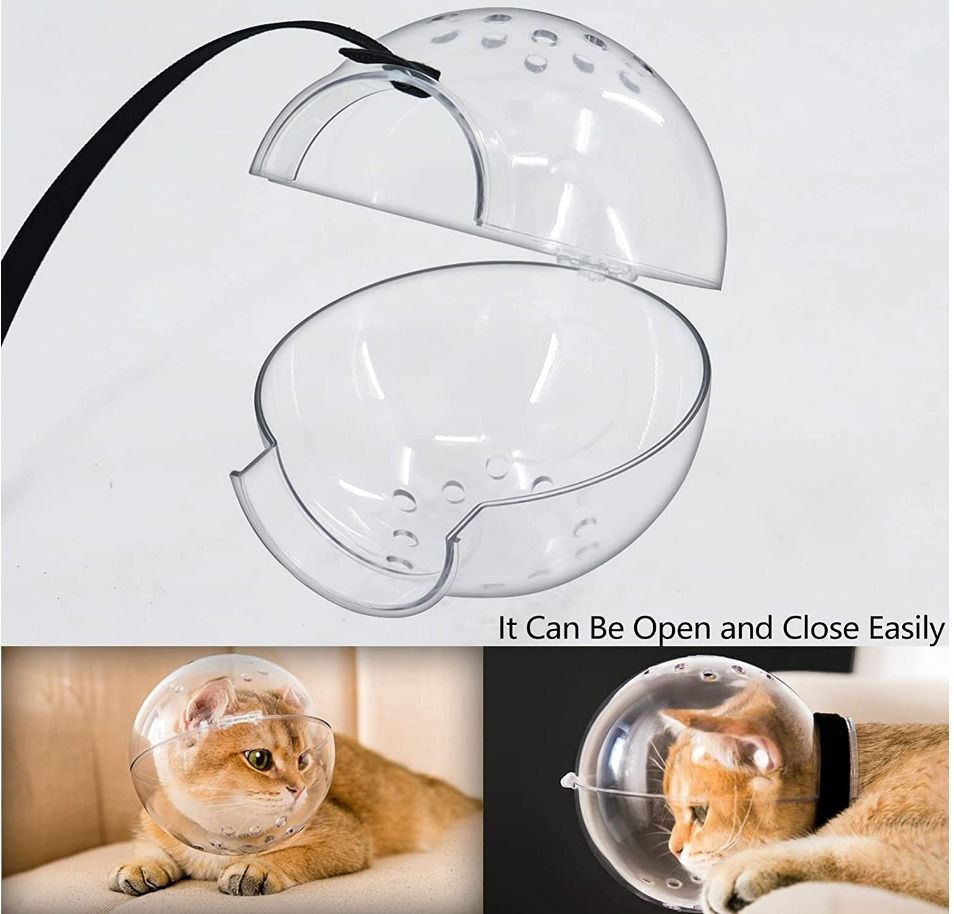 Kitten muzzle cheap