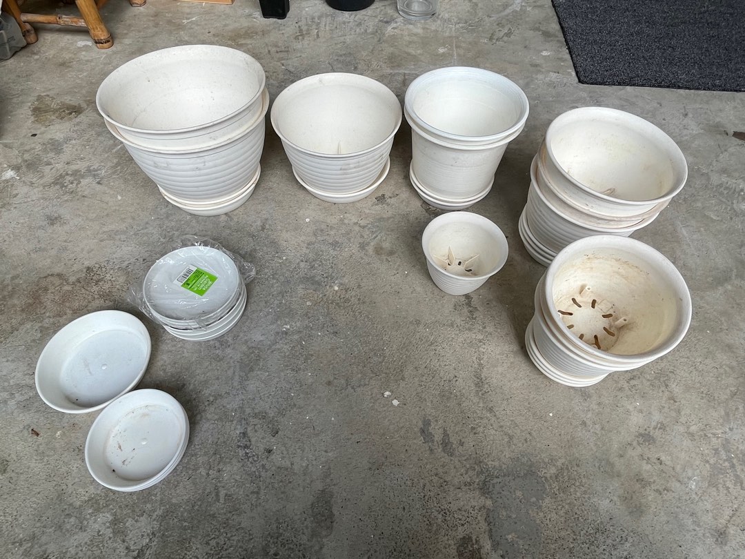 Daiso pots (various sizes), Furniture & Home Living, Gardening, Pots