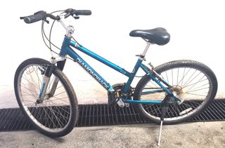 Diamondback peak mountain bike sales
