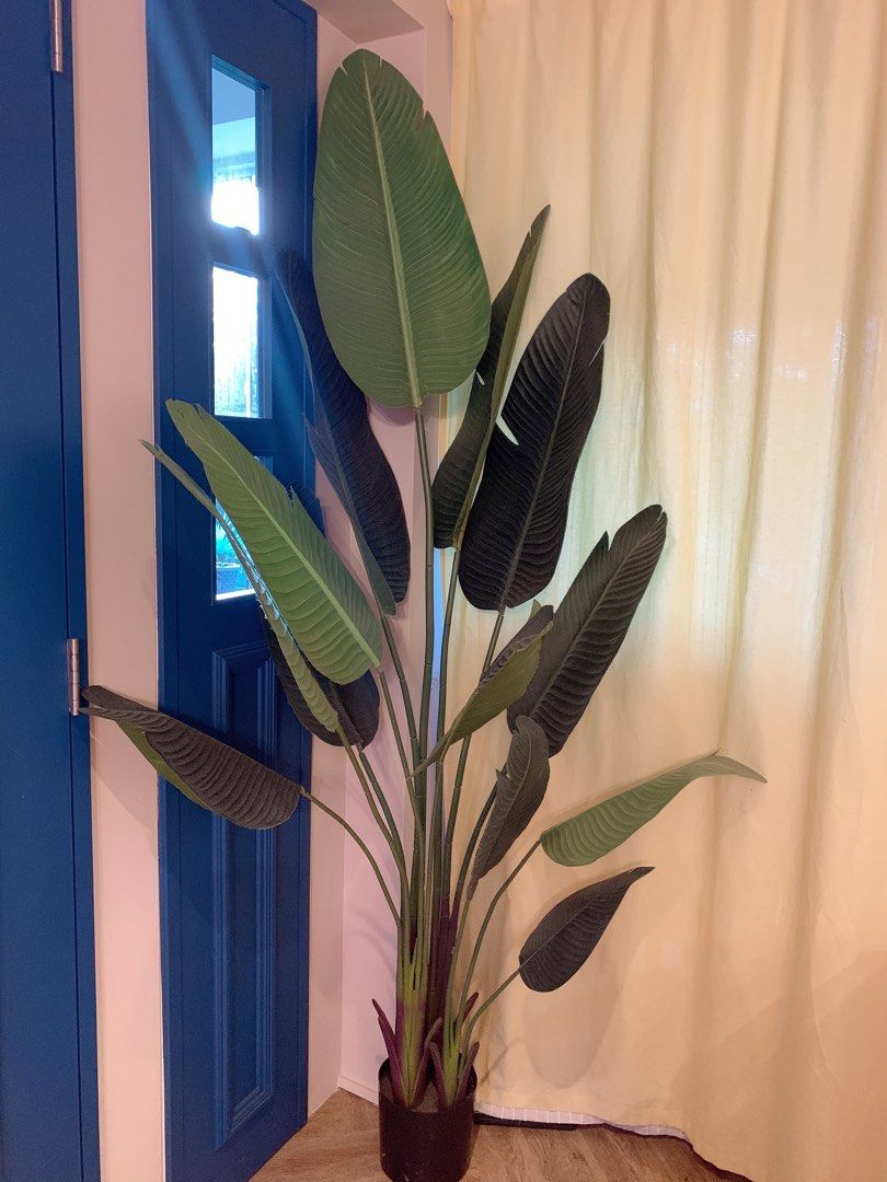 Fake plant Bird of paradise, Furniture & Home Living, Home Decor
