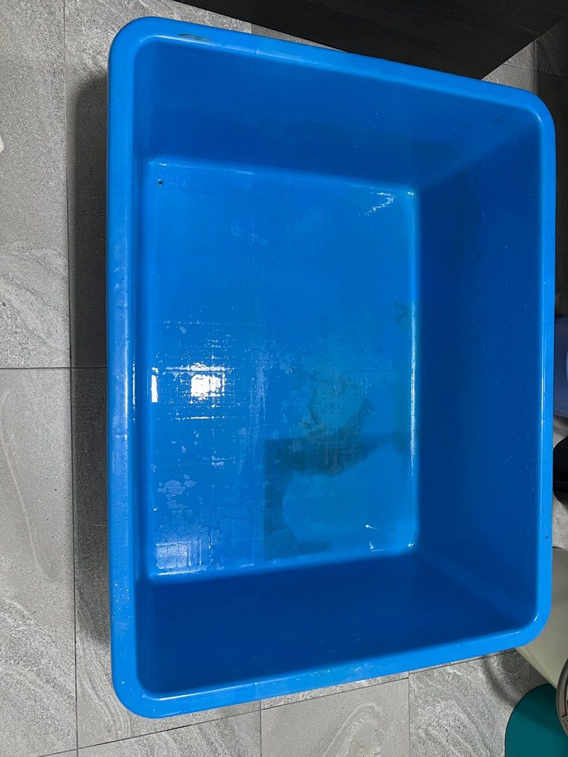 Fish tank tub, Pet Supplies, Homes & Other Pet Accessories on Carousell