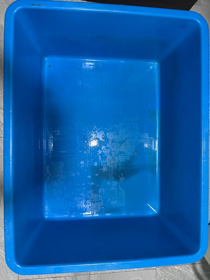 Fish tank tub, Pet Supplies, Homes & Other Pet Accessories on Carousell