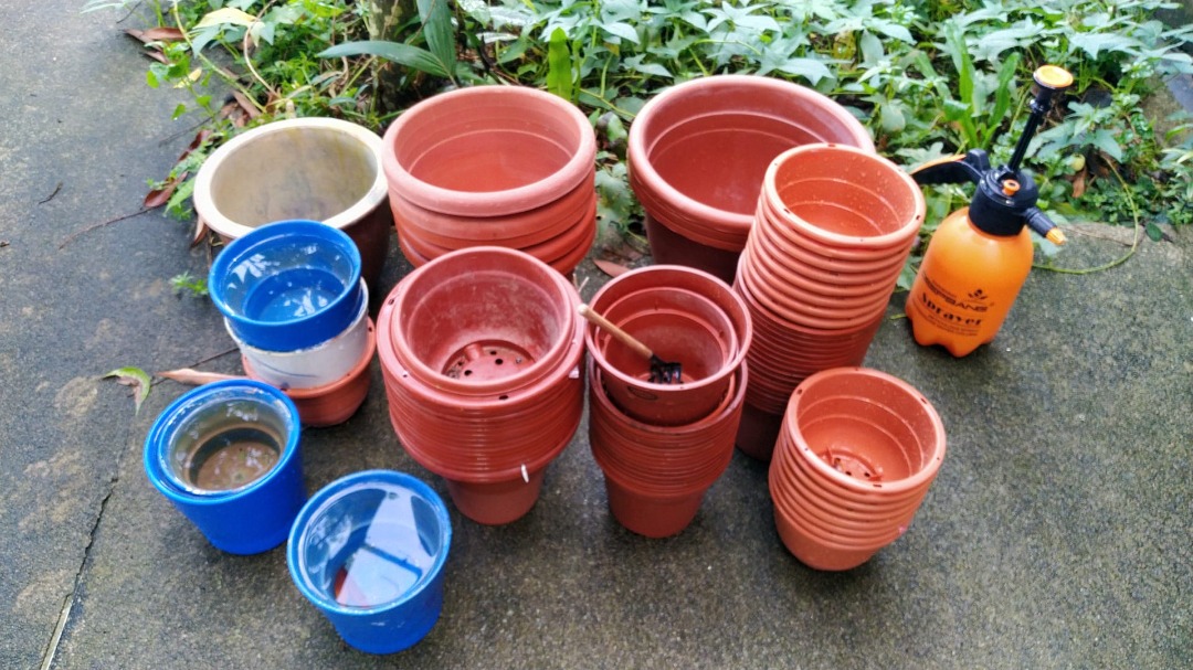 flower pots, gardening, Furniture & Home Living, Gardening, Pots