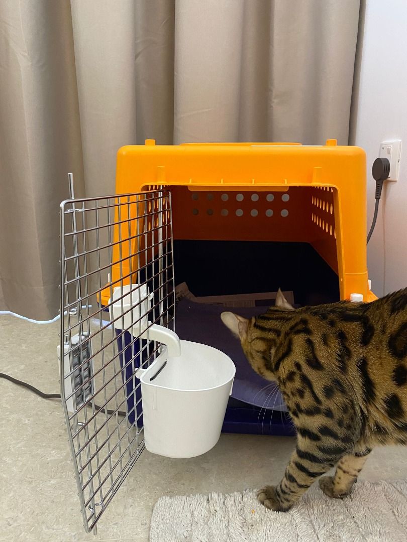 IATA PP30 Airline Approved Pet Carrier medium, Pet Supplies, Homes