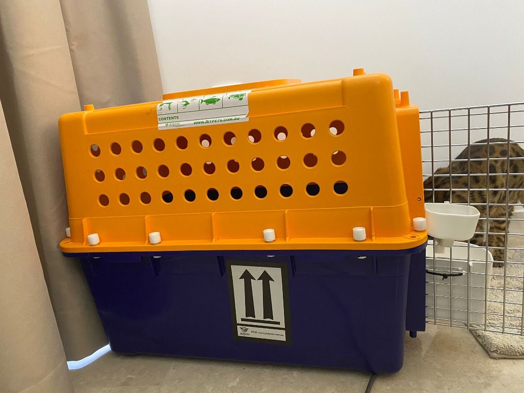 IATA PP30 Airline Approved Pet Carrier - medium, Pet Supplies, Homes ...