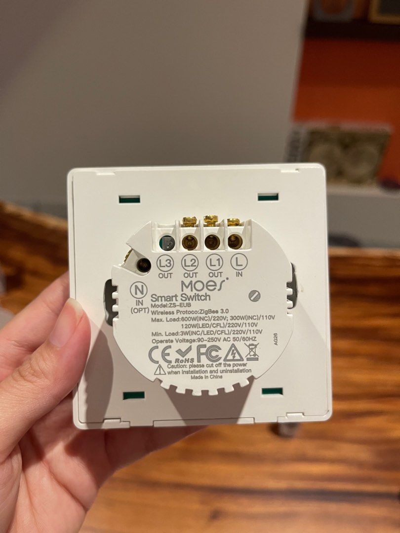 Moes Tuya 2gang switch (no neutral), Furniture & Home Living, Lighting