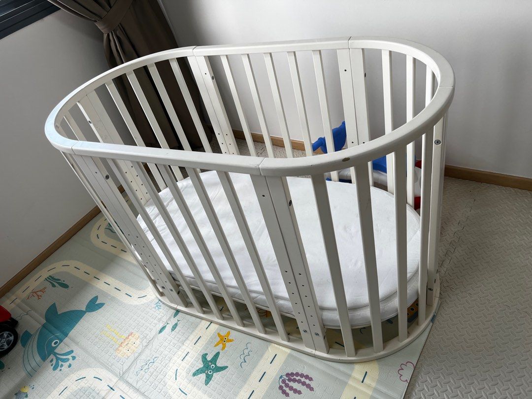 Polini cot shop