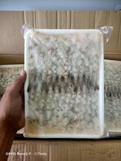 SHRIMP NOBASHI EBI 25s (13g)