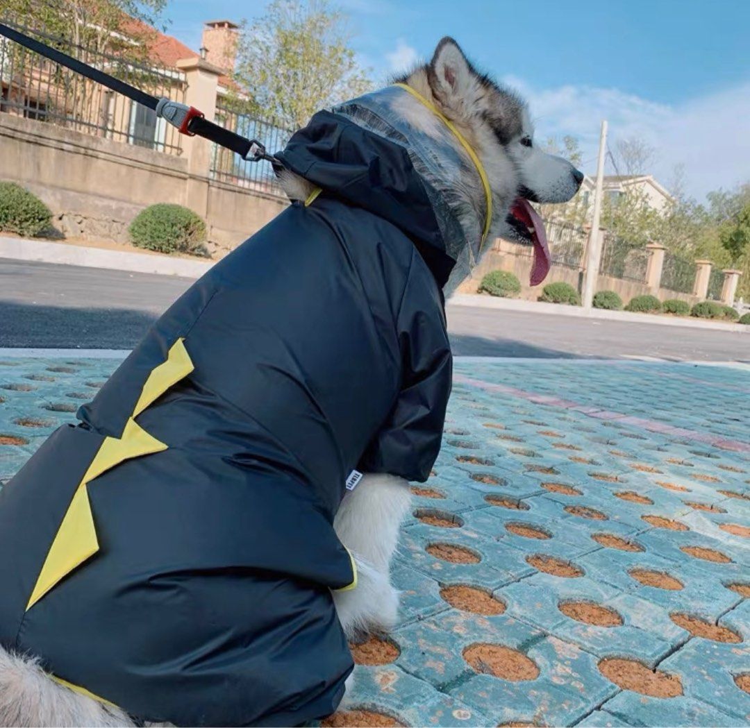 Medium dog clearance raincoat