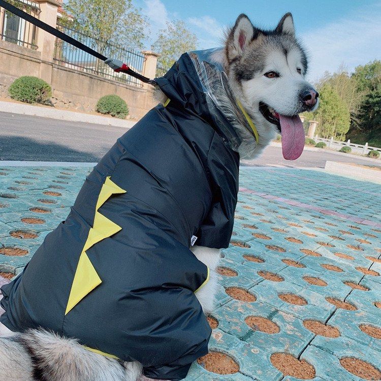 Medium new arrivals dog raincoat