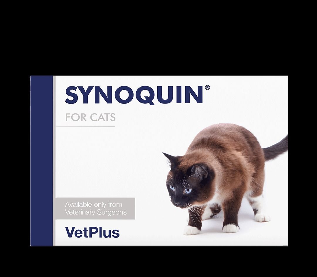 Synoquin for on sale cats