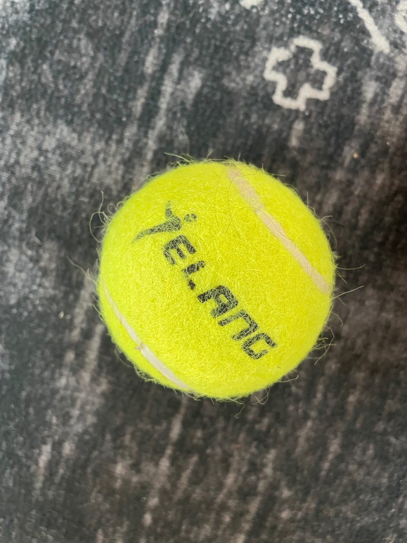 Tennis ball, Sports Equipment, Sports & Games, Racket & Ball Sports on ...