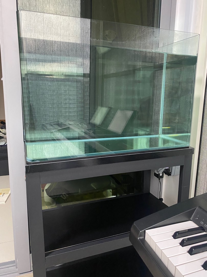 2 ft open top fish tank 72 litre/19 gallon, Pet Supplies, Homes