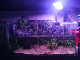 (Category: ) located in . Submitted by kenjinato (Listing ID 1225230557, Image 1). Description: .