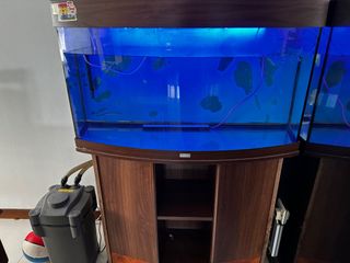 (Category: ) located in . Submitted by fabulous_ (Listing ID 1229482128, Image 1). Description: .