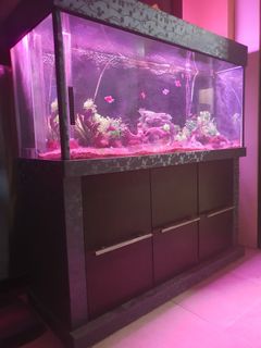 (Category: ) located in . Submitted by den803 (Listing ID 1229597850, Image 1). Description: .