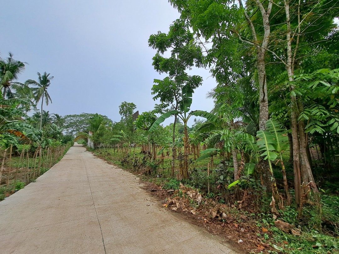 LOT for SALE near Tagaytay 20 mimutes drive. 2,600 SQM Amadeo cavite