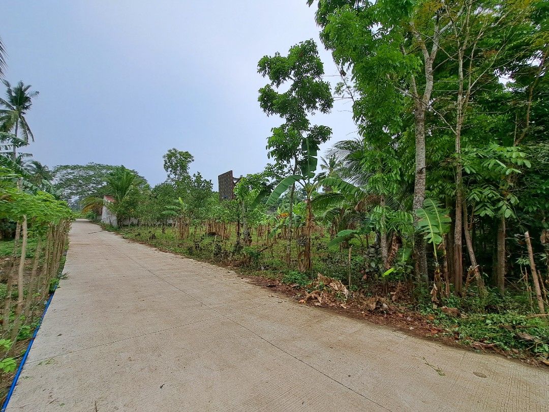 LOT for SALE near Tagaytay 20 mimutes drive. 2,600 SQM Amadeo cavite on