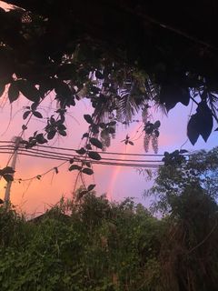 (Category: ) located in . Submitted by hollygolightly (Listing ID 1229593131, Image 1). Description: .