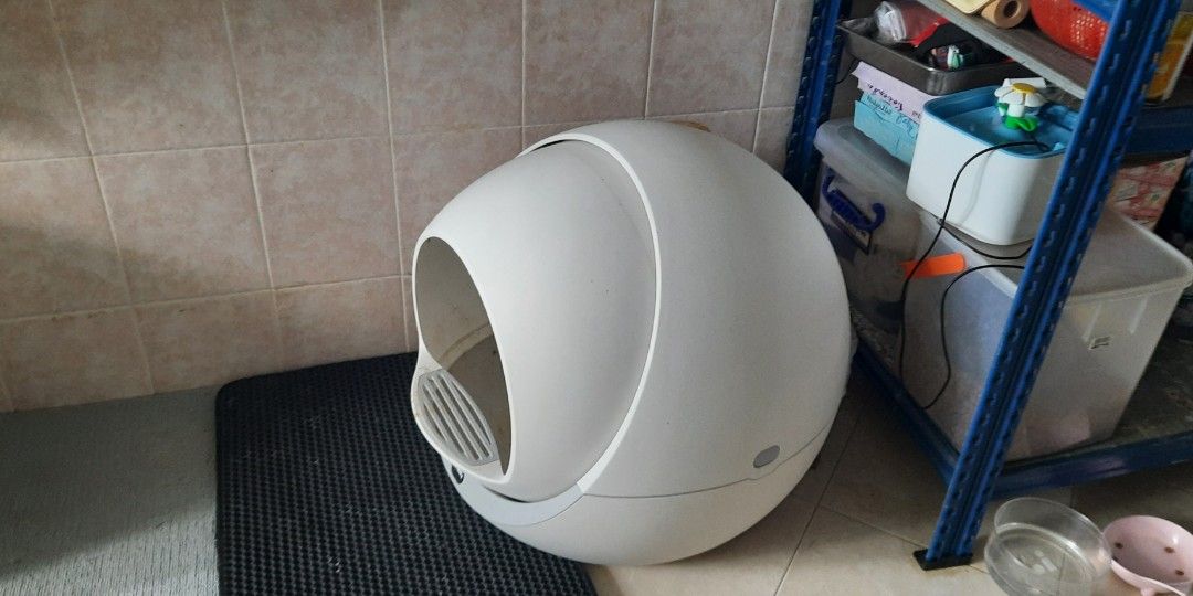 automatic self-cleaning litter box, Pet Supplies, Homes & Other Pet