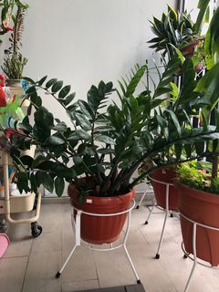 (Category: ) located in . Submitted by freyzhang (Listing ID 1229544724, Image 1). Description: .
