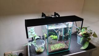 (Category: ) located in . Submitted by farmerst (Listing ID 1229621969, Image 1). Description: .