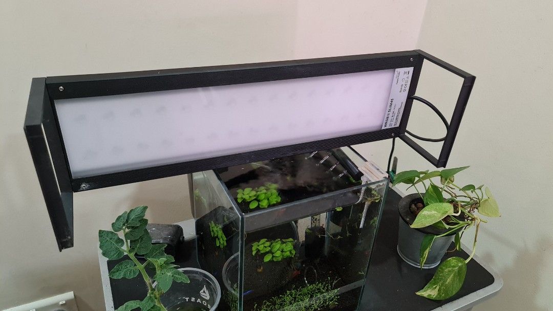 Chihiros aquarium lamp, Furniture & Home Living, Lighting & Fans ...
