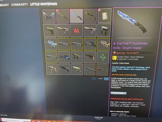 Csgo skin: stat trak huntsman knife bright water