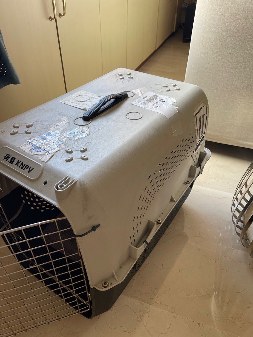 Dog Carrier cage cargo, Pet Supplies, Homes & Other Pet Accessories on