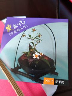 （分類：）位於 。 由 pengin80294 提交（商品編號 1229510586，圖片 1）。簡介： 。