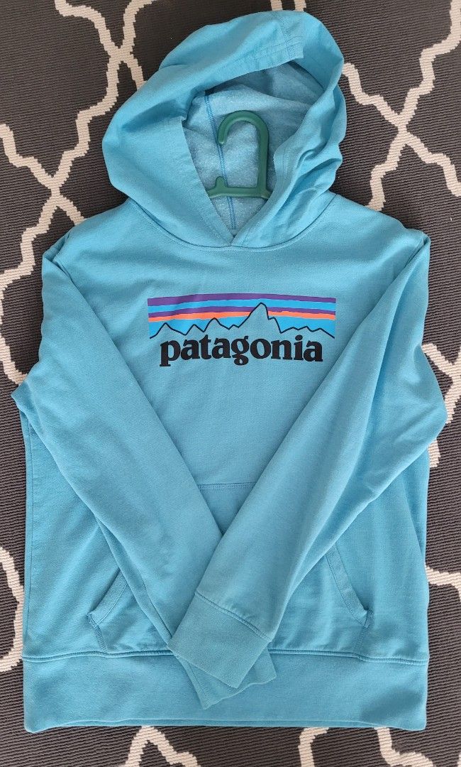 Patagonia hoodies sale