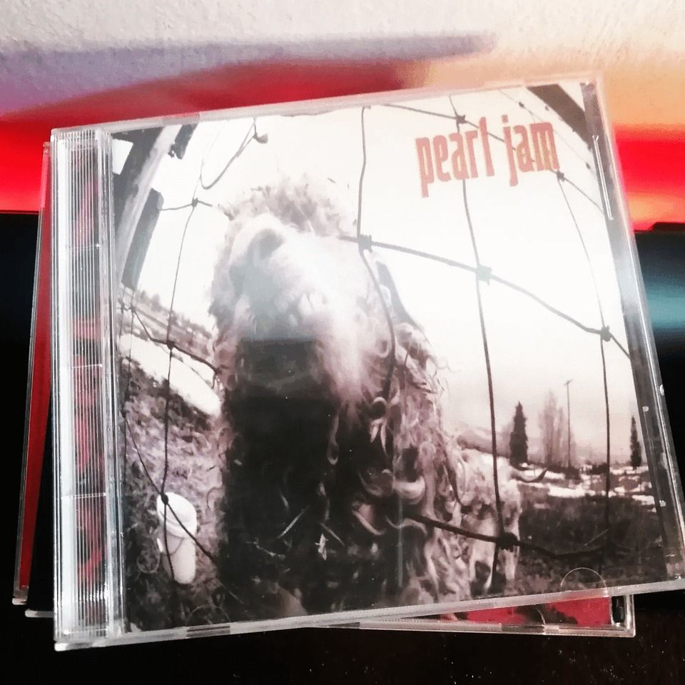 Pearl Jam CD SET, Hobbies & Toys, Music & Media, CDs & DVDs on Carousell