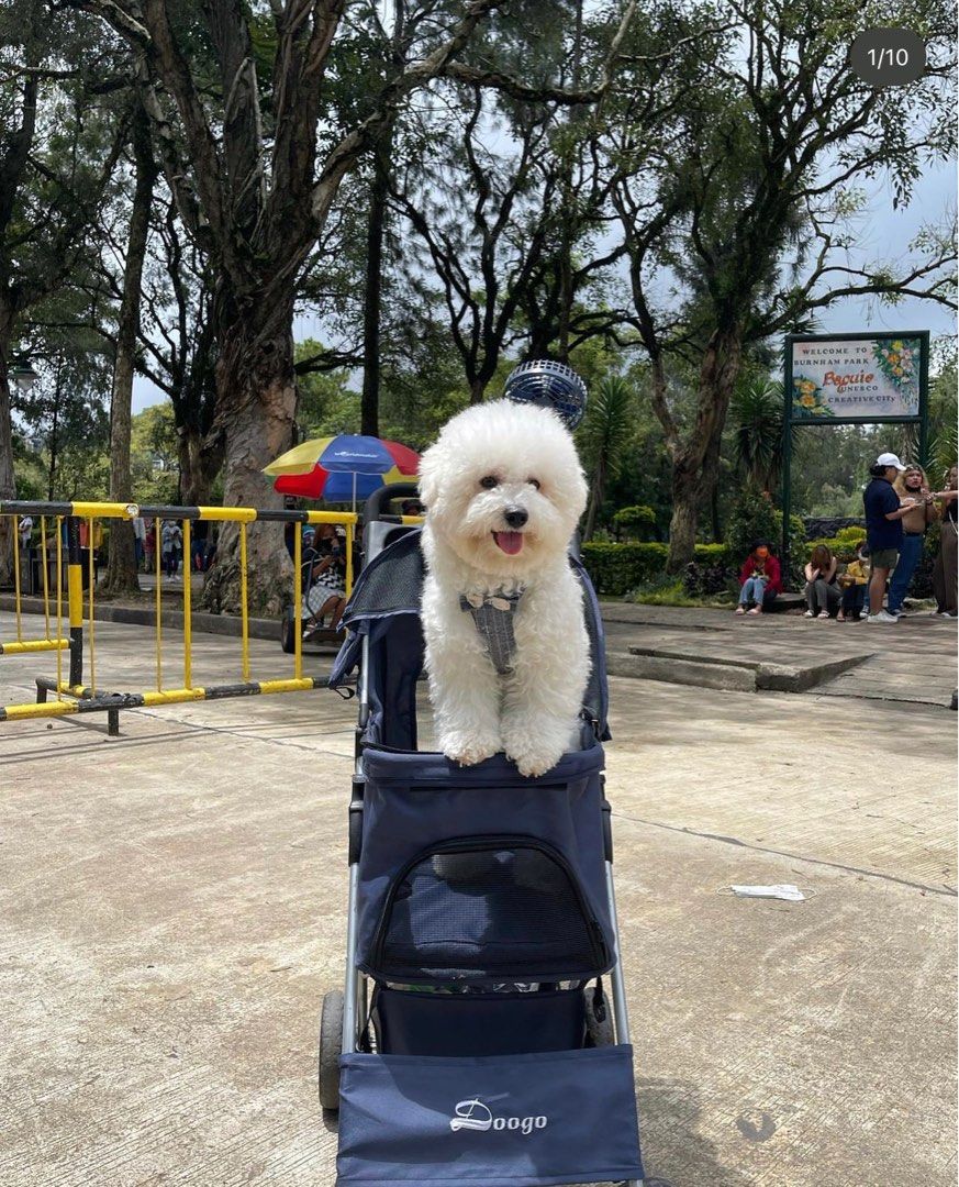 Preloved dog stroller online