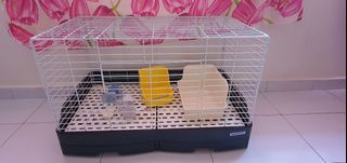 (Category: ) located in . Submitted by sallyht (Listing ID 1229534427, Image 1). Description: .
