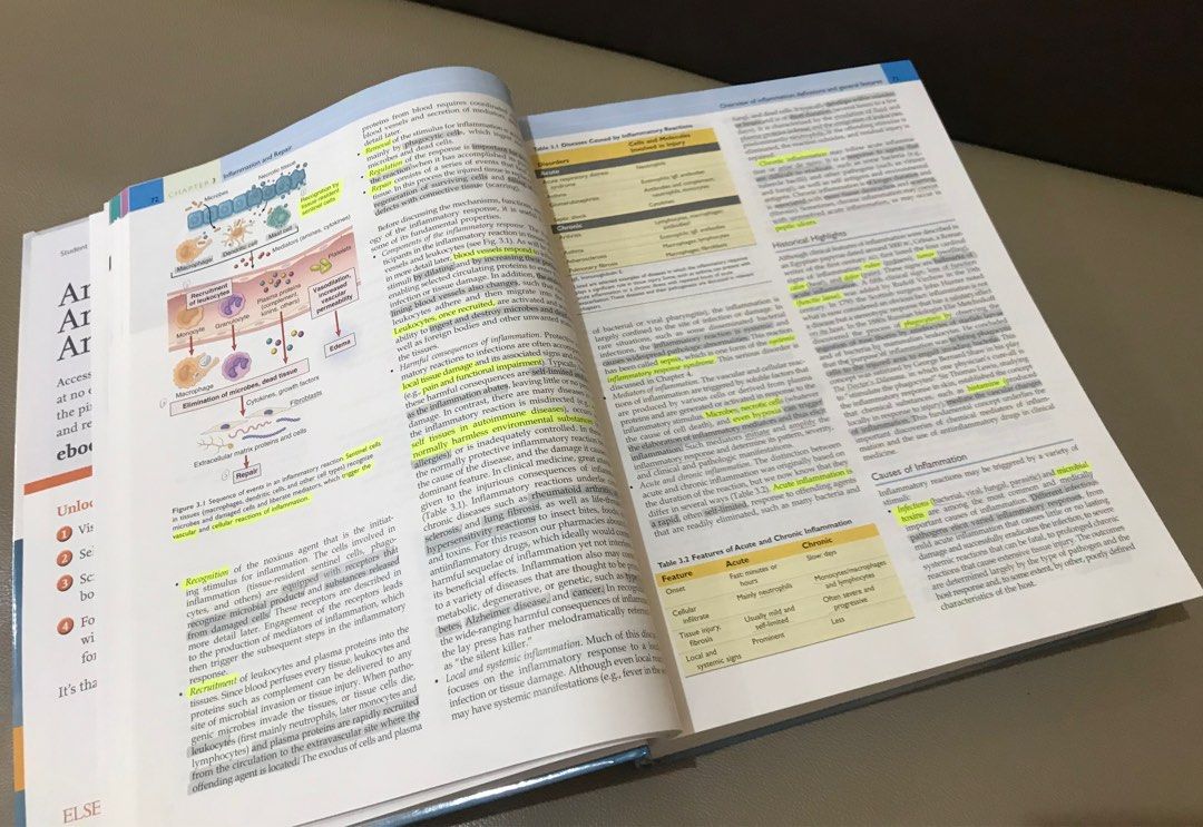 Tony Robbins visual data 7