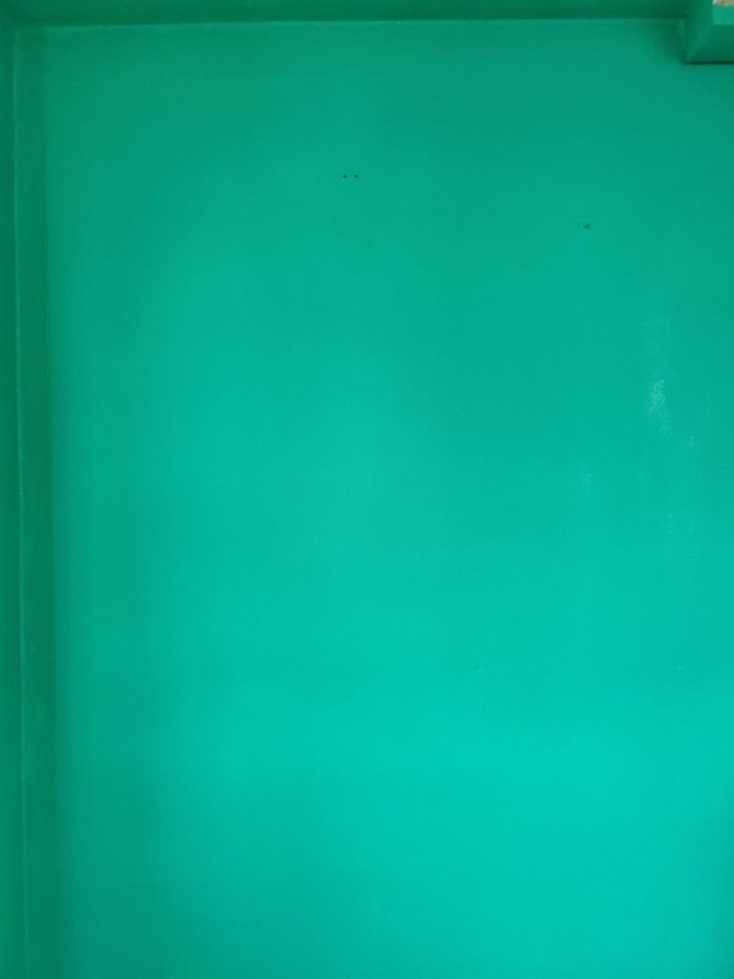 Smart Paints Odourless Ecowash wall paint, Furniture & Home Living