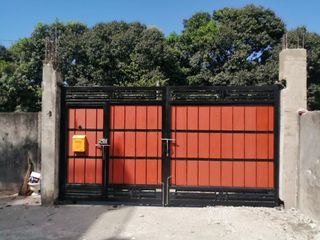 Steel Gate With Service Gate